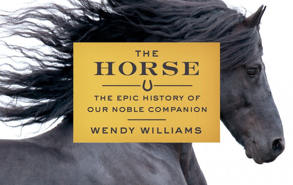 the horse by wendy williams the horse by wendy williams